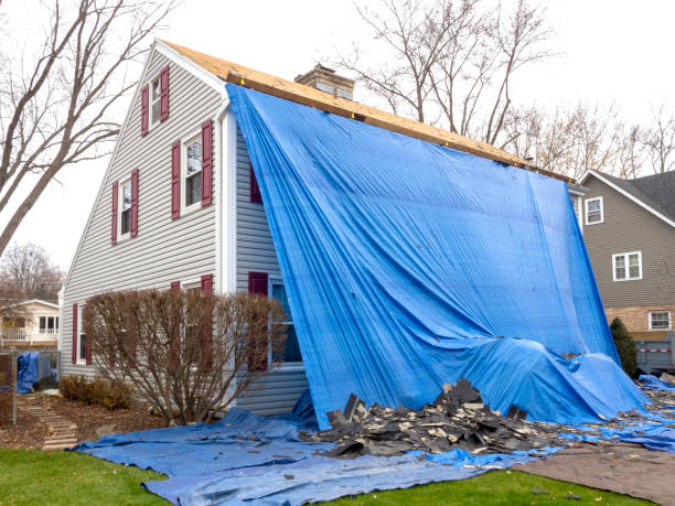 Affordable Siding Repair and Maintenance Services in Lannon, WI